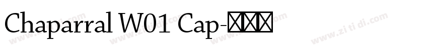Chaparral W01 Cap字体转换